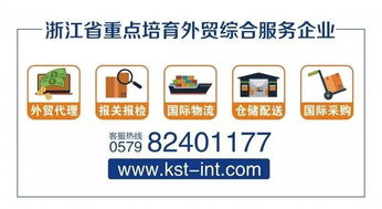 金士敦供應(yīng)鏈 一站式因私出入境及報(bào)關(guān)服務(wù)解決方案