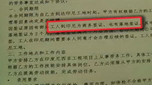 出國(guó)打工夢(mèng)碎 簽證問(wèn)題與中介服務(wù)的警示